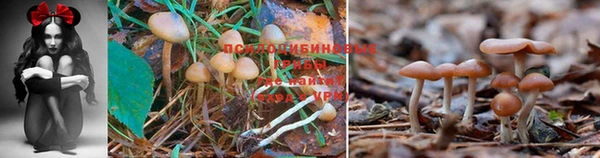 наркотики Нягань