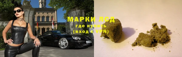 a pvp Алзамай