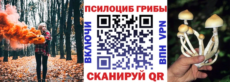 Галлюциногенные грибы мицелий  закладки  Хвалынск 